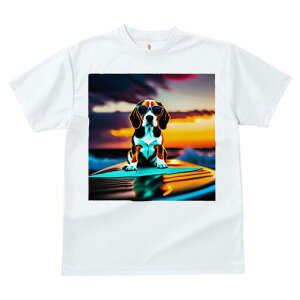 r[O TVc fB[X t@  t  vg JWA 킢 lԗp h ̃fUC ʔ TOX r[O T[t{[h C [Ă