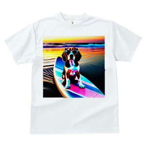 r[O TVc fB[X t@  t  vg JWA 킢 lԗp h ̃fUC ʔ T[t{[h r[O C r[` [Ă