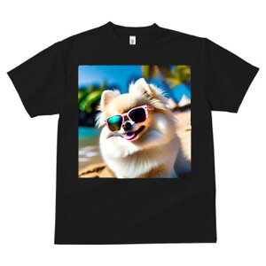 |jA TVc fB[X t@  t  vg JWA 킢 lԗp h ̃fUC ʔ TOX |jA r[`  ][g