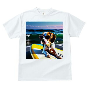 r[O TVc fB[X t@  t  vg JWA 킢 lԗp h ̃fUC ʔ TOX r[O T[t{[h C