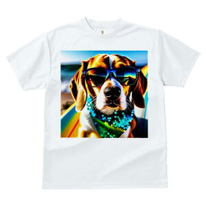 r[O TVc fB[X t@  t  vg JWA 킢 lԗp h ̃fUC ʔ TOX r[O r[` T[t{[h o_i