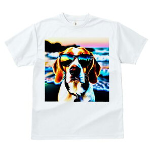 r[O TVc fB[X t@  t  vg JWA 킢 lԗp h ̃fUC ʔ TOX r[O C