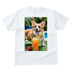 R[M[ TVc fB[X t@  t  vg JWA 킢 lԗp h ̃fUC ʔ W[X R[M[ Xg[  v[