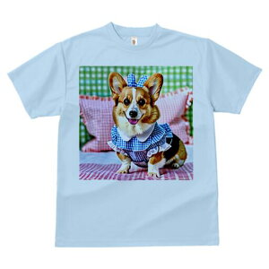 R[M[ TVc Y LbY t@  t  vg JWA 킢 lԗp h ̃fUC ʔ `FbN R[M[ { s[X 