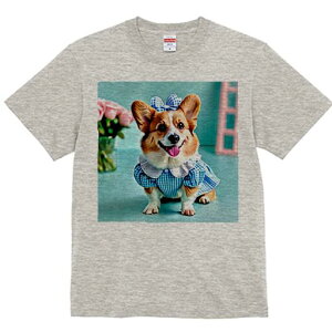 R[M[ TVc Y LbY t@  t  vg JWA 킢 lԗp h ̃fUC ʔ  R[M[ ԑ { s[X