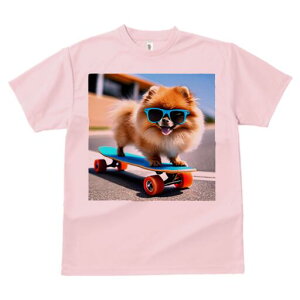 |jA TVc Y LbY t@  t  vg JWA 킢 lԗp h ̃fUC ʔ XP[g{[h |jA TOX