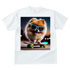 |jA TVc Y LbY t@  t  vg JWA 킢 lԗp h ̃fUC ʔ TOX |jA XP[g{[h