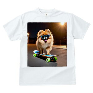 |jA TVc fB[X t@  t  vg JWA 킢 lԗp h ̃fUC ʔ XP[g{[h |jA TOX