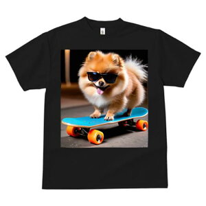 |jA TVc Y LbY t@  t  vg JWA 킢 lԗp h ̃fUC ʔ XP[g{[h |jA TOX