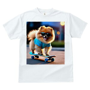 |jA TVc fB[X t@  t  vg JWA 킢 lԗp h ̃fUC ʔ XP[g{[h |jA TOX TVc