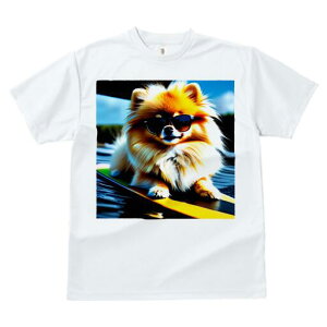 |jA TVc fB[X t@  t  vg JWA 킢 lԗp h ̃fUC ʔ TOX |jA T[t{[h C