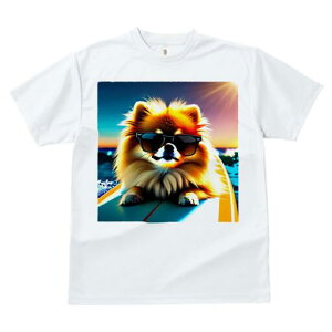 |jA TVc fB[X t@  t  vg JWA 킢 lԗp h ̃fUC ʔ TOX |jA T[t{[h C z