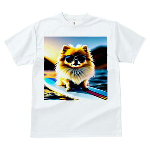 |jA TVc fB[X t@  t  vg JWA 킢 lԗp h ̃fUC ʔ TOX |jA T[t{[h C