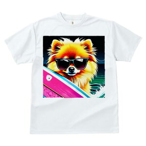 |jA TVc fB[X t@  t  vg JWA 킢 lԗp h ̃fUC ʔ TOX |jA T[t{[h C