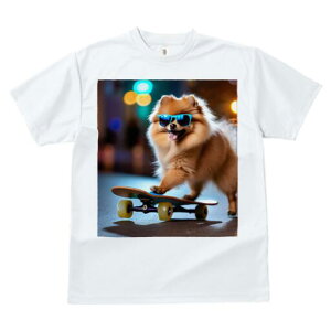 |jA TVc fB[X t@  t  vg JWA 킢 lԗp h ̃fUC ʔ XP[g{[h |jA TOX