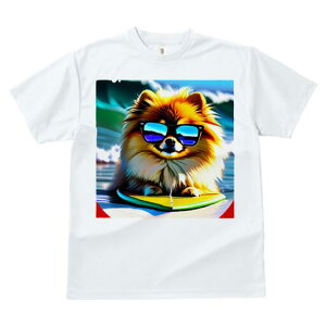 |jA TVc Y LbY t@  t  vg JWA 킢 lԗp h ̃fUC ʔ TOX |jA T[tB C g