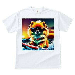 |jA TVc fB[X t@  t  vg JWA 킢 lԗp h ̃fUC ʔ TOX |jA T[tB C g