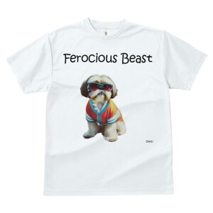 V[Y[ TVc fB[X t@  t  vg JWA 킢 lԗp h ̃fUC ʔ TOX V[Y[ 