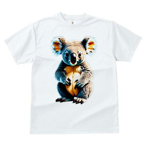 TVc fB[X t@  t  vg JWA 킢 lԗp h ̃fUC ʔ RA 킢  ʂ