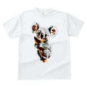 TVc fB[X t@  t  vg JWA 킢 lԗp h ̃fUC ʔ RA 킢  ʂ 