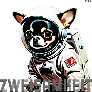 F ` Fsm NbVJo[ 45×45cm Aj}   NbV{̕t ` t@