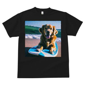 S[fgo[ TVc fB[X t@  t  vg JWA 킢 lԗp h ̃fUC ʔ T[t{[h S[fgo[ C r[`