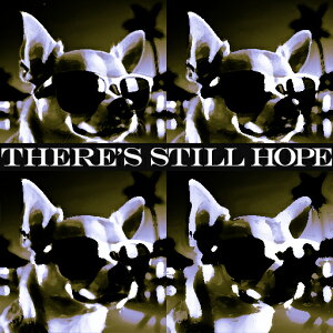 TOX ` V̖ NbVJo[ 45×45cm Aj}   NbV{̕t ` t@