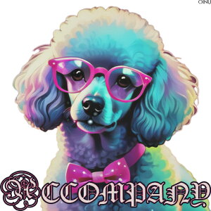 Kl v[h lN^C NbVJo[ 45×45cm Aj}   NbV{̕t ` t@