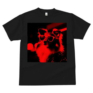 VFbghV[vhbO TVc fB[X t@  t  vg JWA 킢 lԗp h ̃fUC ʔ TOX VFbghV[vhbO 