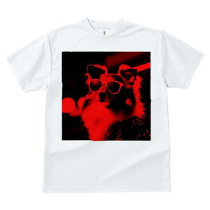 VFbghV[vhbO TVc fB[X t@  t  vg JWA 킢 lԗp h ̃fUC ʔ TOX VFbghV[vhbO 