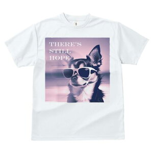 ` TVc fB[X t@  t  vg JWA 킢 lԗp h ̃fUC ʔ TOX `