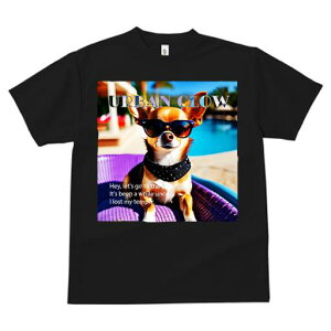 ` TVc fB[X t@  t  vg JWA 킢 lԗp h ̃fUC ʔ TOX ` v[ ][g 