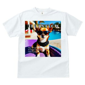 ` TVc fB[X t@  t  vg JWA 킢 lԗp h ̃fUC ʔ TOX ` v[ ][g 