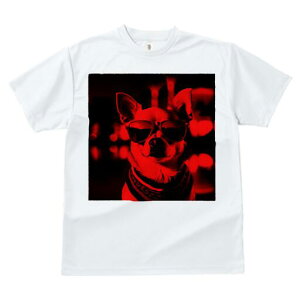 ` TVc fB[X t@  t  vg JWA 킢 lԗp h ̃fUC ʔ TOX `