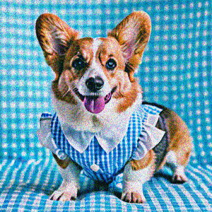 `FbN R[M[  NbVJo[ 45×45cm Aj}   NbV{̕t ` t@