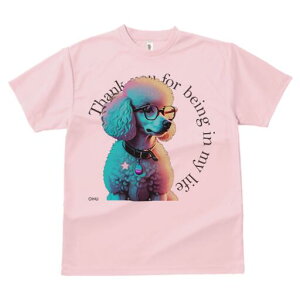 v[h TVc Y LbY t@  t  vg JWA 킢 lԗp h ̃fUC ʔ Kl v[h 