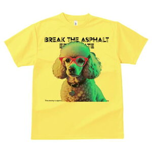 v[h TVc Y LbY t@  t  vg JWA 킢 lԗp h ̃fUC ʔ Kl v[h 