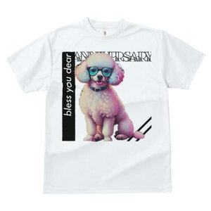 v[h TVc fB[X t@  t  vg JWA 킢 lԗp h ̃fUC ʔ Kl v[h