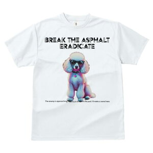 v[h TVc fB[X t@  t  vg JWA 킢 lԗp h ̃fUC ʔ TOX v[h