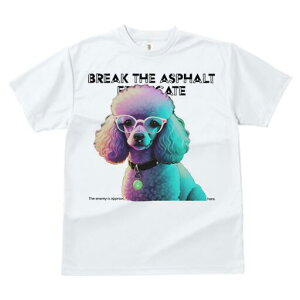 v[h TVc Y LbY t@  t  vg JWA 킢 lԗp h ̃fUC ʔ Kl v[h 