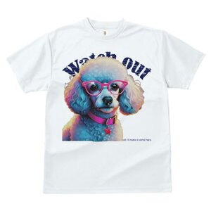 v[h TVc fB[X t@  t  vg JWA 킢 lԗp h ̃fUC ʔ Kl v[h  