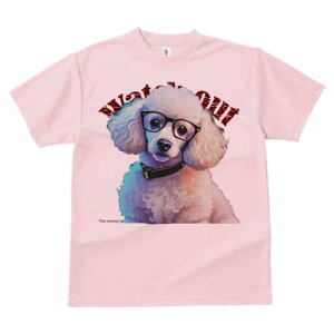 v[h TVc Y LbY t@  t  vg JWA 킢 lԗp h ̃fUC ʔ Kl v[h