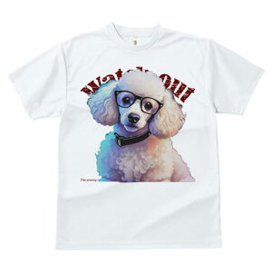 v[h TVc Y LbY t@  t  vg JWA 킢 lԗp h ̃fUC ʔ Kl v[h