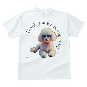 v[h TVc fB[X t@  t  vg JWA 킢 lԗp h ̃fUC ʔ TOX v[h 