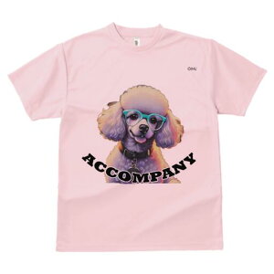 v[h TVc Y LbY t@  t  vg JWA 킢 lԗp h ̃fUC ʔ Kl v[h