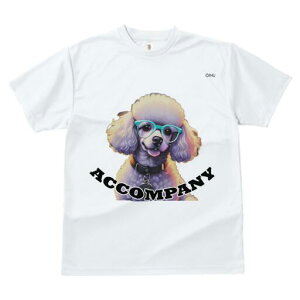 v[h TVc Y LbY t@  t  vg JWA 킢 lԗp h ̃fUC ʔ Kl v[h