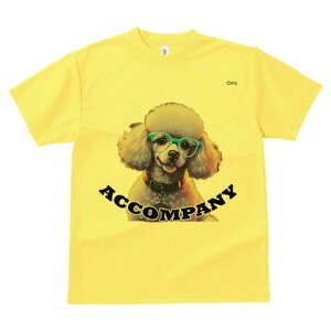 v[h TVc Y LbY t@  t  vg JWA 킢 lԗp h ̃fUC ʔ Kl v[h