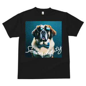 Zgo[i[h TVc fB[X t@  t  vg JWA 킢 lԗp h ̃fUC ʔ TOX Zgo[i[h lN^C