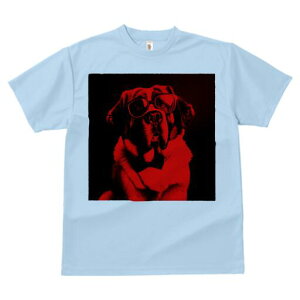 Zgo[i[h TVc Y LbY t@  t  vg JWA 킢 lԗp h ̃fUC ʔ Kl Zgo[i[h lN^C