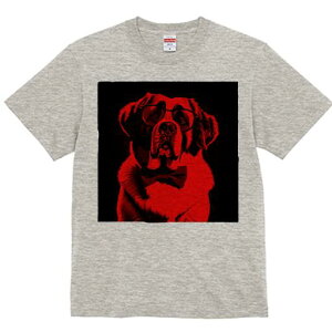 Zgo[i[h TVc Y LbY t@  t  vg JWA 킢 lԗp h ̃fUC ʔ Kl Zgo[i[h lN^C